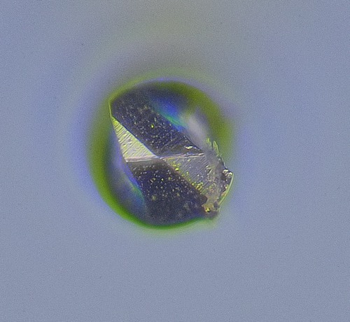 0.2mm鑽針4_副本.jpg
